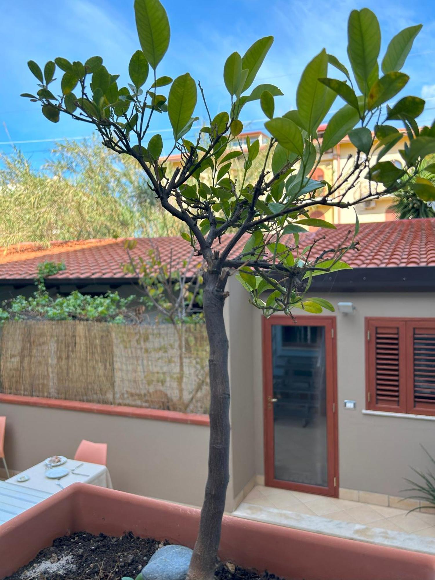 La Piazzetta Bed and Breakfast Giardini Naxos Exteriör bild